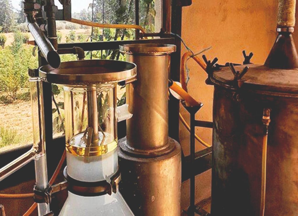 aromathérapie distillation